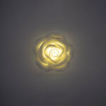 Rosa Roma piccola bianca - immagine 4