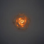 Rosa Roma piccola giallina - immagine 2