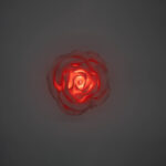 Rosa Roma piccola rosa - immagine 3