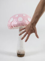 CHAMPIGNO' funghi mini - immagine 3