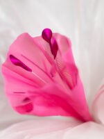 BIJOU narciso gigante in organza - immagine 3