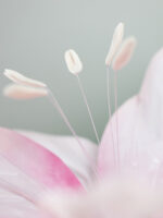 FLO giglio gigante in organza - immagine 3