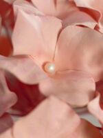 BLOOM ortensia gigante - immagine 6