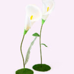 PURA calla gigante