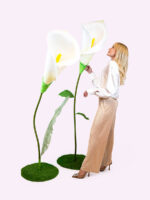PURA calla gigante - immagine 3
