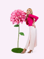 ROLLY delia gigante - immagine 3