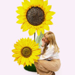 MERY-DIANA girasole gigante