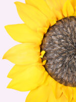 MERY-DIANA girasole gigante - immagine 3
