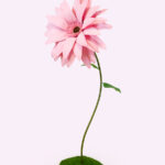 CARILLON gerbera gigante