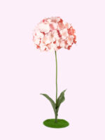 BLOOM ortensia gigante - immagine 5