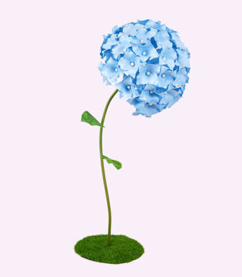 BLOOM ortensia gigante