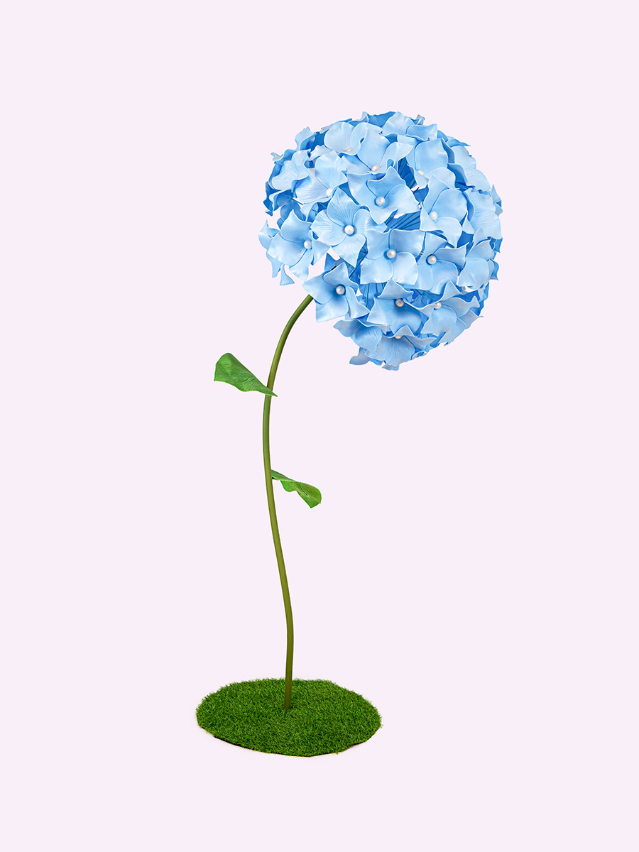 BLOOM ortensia gigante
