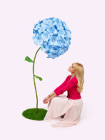BLOOM ortensia gigante - immagine 2