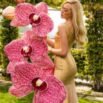 DEA orchidea gigante