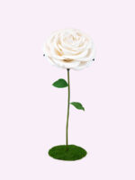ROYAL rosa gigante - immagine 2