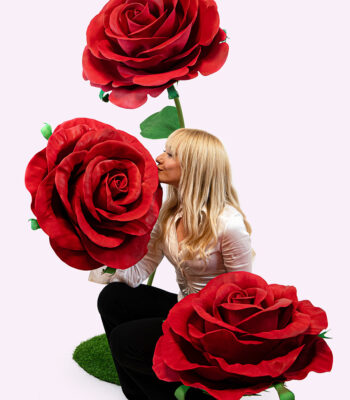 ROYAL rosa gigante