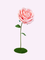 ROYAL rosa gigante - immagine 11