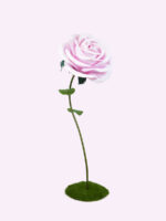 ROYAL rosa gigante - immagine 3
