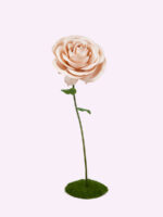 ROYAL rosa gigante - immagine 4