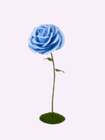 ROYAL rosa gigante - immagine 5