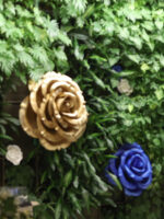 ROYAL rosa gigante - immagine 10