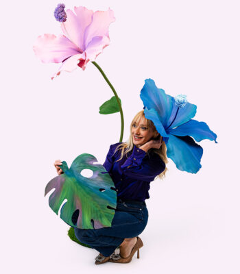 HULA ibisco gigante