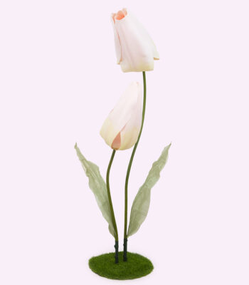 FLÛTE tulipano gigante