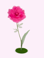 BORA anemone gigante in organza
