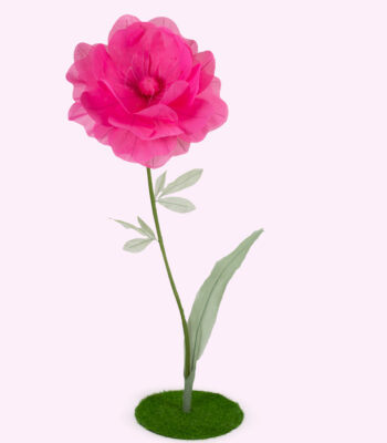 BORA anemone gigante in organza