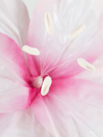 FLO giglio gigante in organza - immagine 2