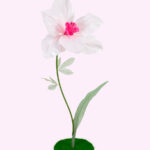 BIJOU narciso gigante in organza