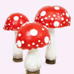 CHAMPIGNO' funghi mini