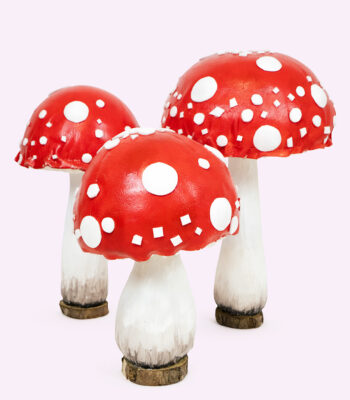CHAMPIGNO' funghi mini