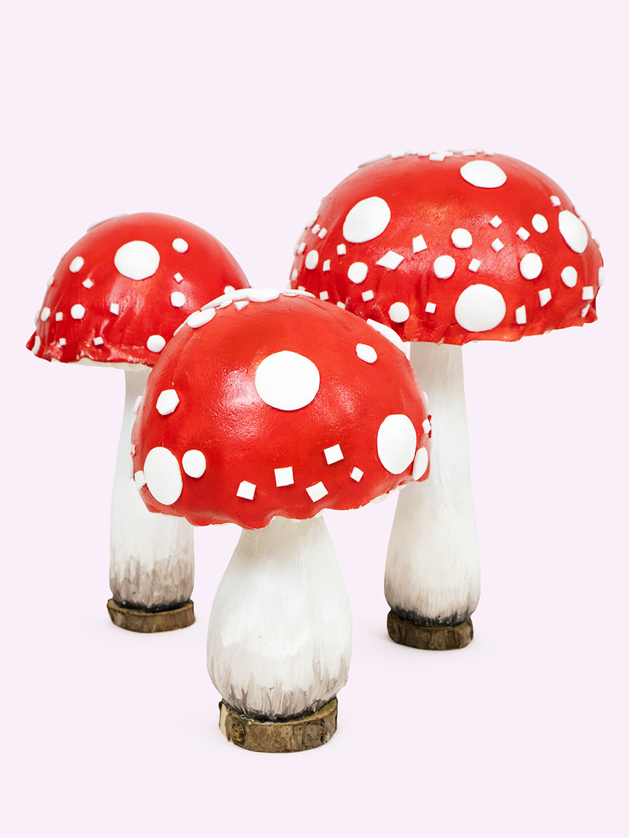 CHAMPIGNO' funghi mini