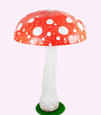 CHAMPIGNO' fungo gigante