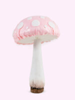 CHAMPIGNO' funghi mini - immagine 2