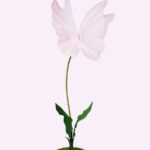 PAPILLON farfalla gigante