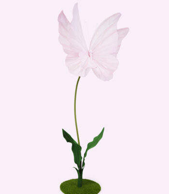 PAPILLON farfalla gigante