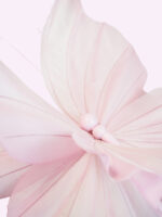 PAPILLON farfalla gigante - immagine 3